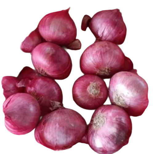 Red Onion
