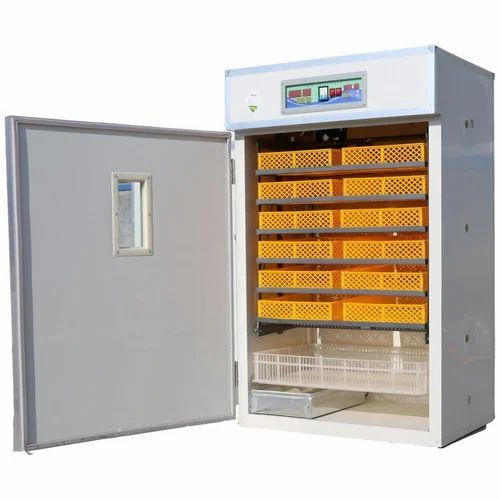 800 Eggs Capacity Incubators