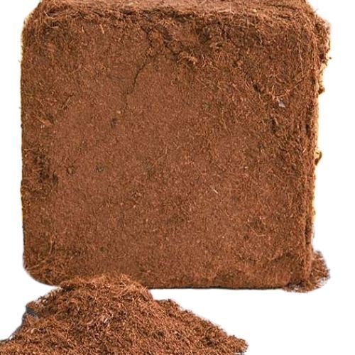 Coco Peat