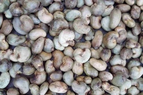 Raw Cashew Nuts 
