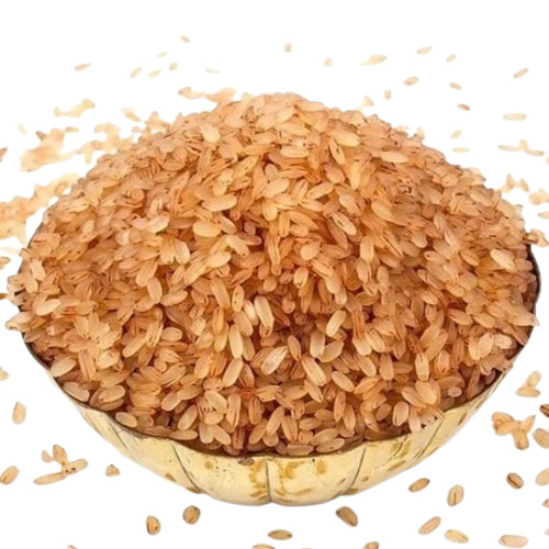 Brown Rice - Cultivation Type: Common