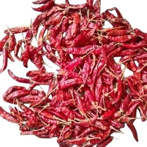 Dry Red Chilli