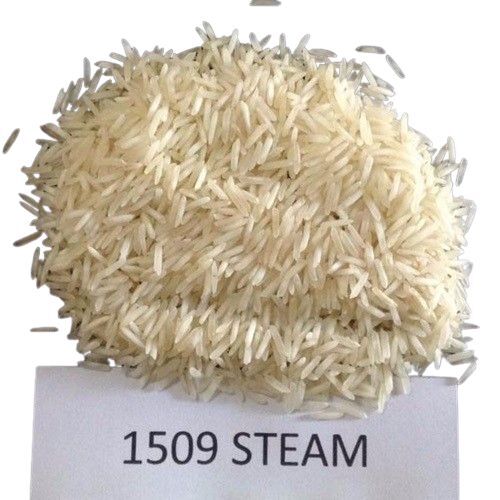 1509 Steam Rice