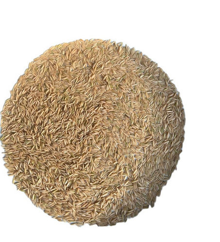 Brown rice