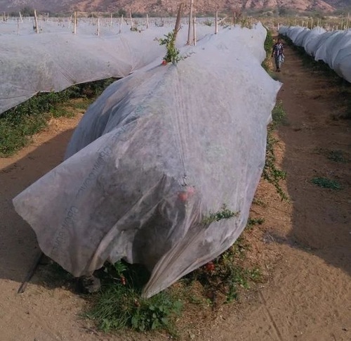 Crop Covers