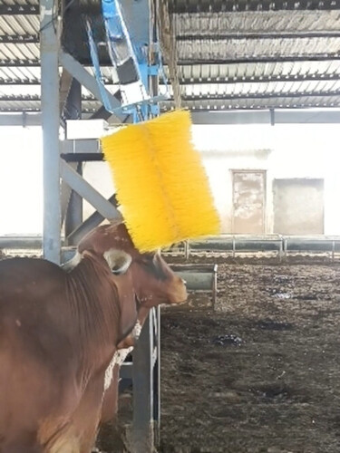 Automatic Sensor Based Cow Grooming Brush
