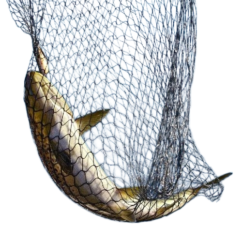 Fish Nets
