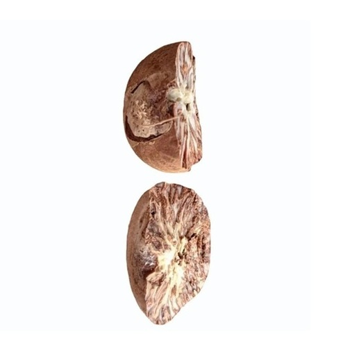 Areca Nut - Color: Anu