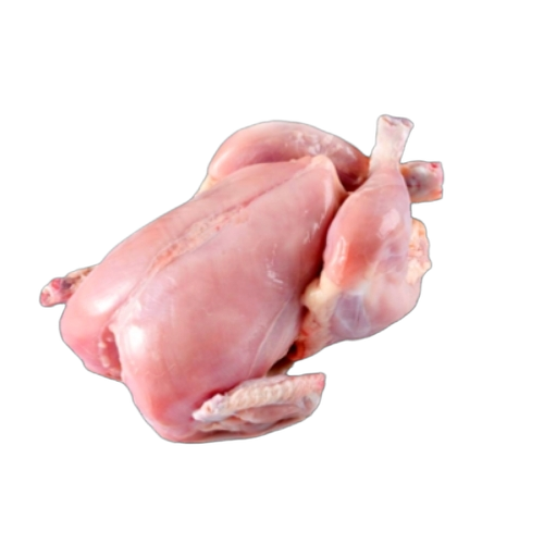 Fresh Chicken Meat - Color: Red