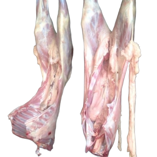 Fresh Mutton Meat