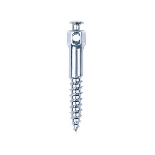 Orthodontic Mini Implant