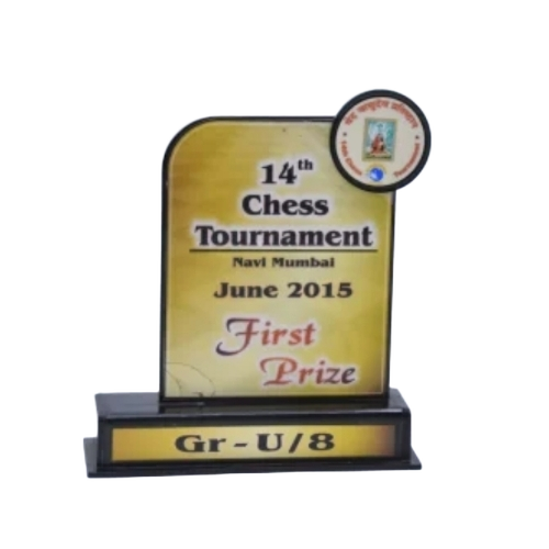 Custom Acrylic Trophy