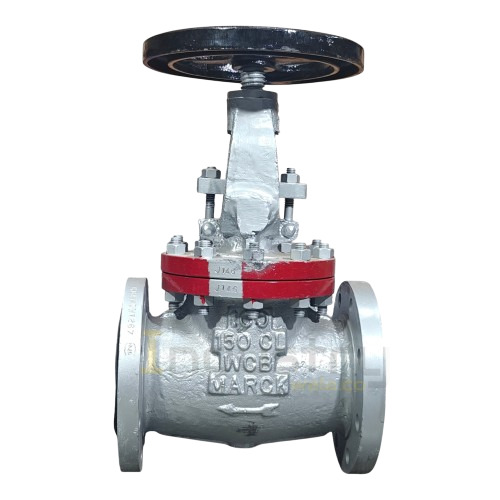 Globe Valves