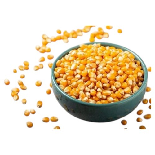 Maize Grain - Admixture (%): 60