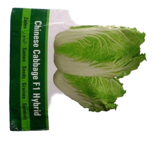 Chinese Cabbage F1 Hybrid Seed