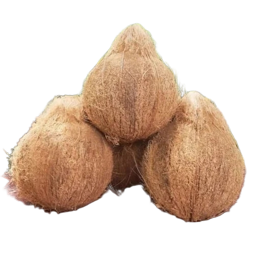 Fresh Coconut
