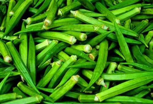 Green Ladyfinger
