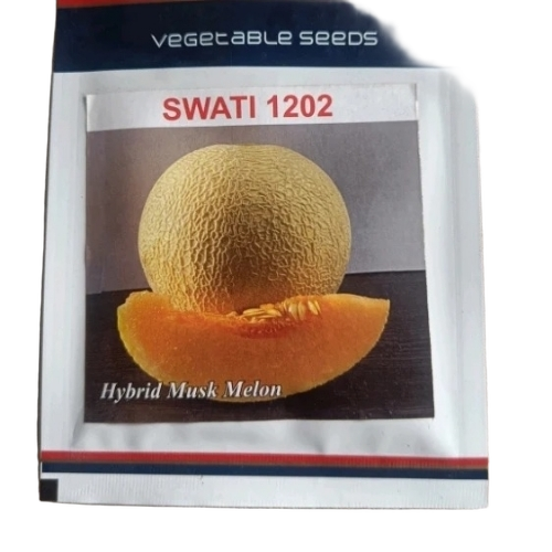 Hybrid Musk Melon Seed