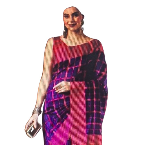 Ladies Saree