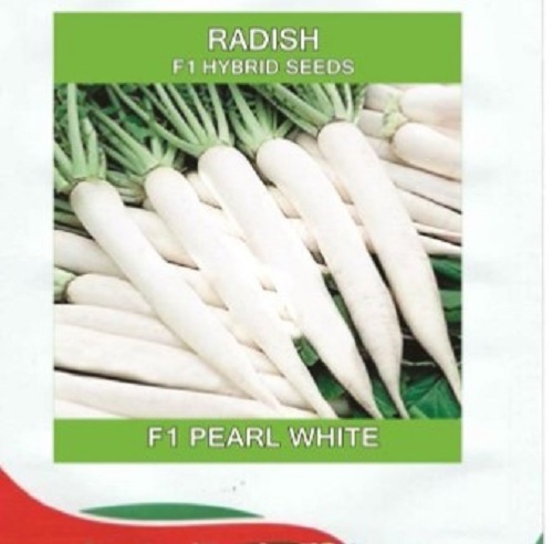 Radish F1 Hybrid Seed
