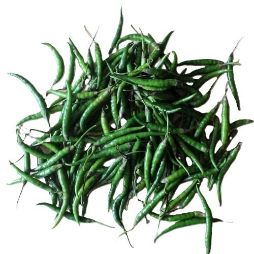Green Chilli 