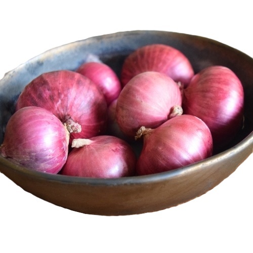 Organic Pink Onion
