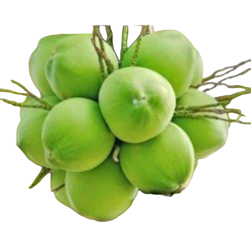 Organic Pollachi Tender Coconut