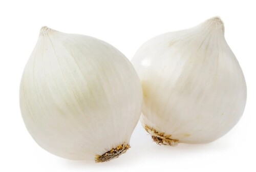 Organic White Onion