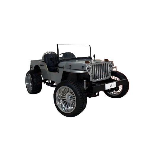 Custom Modified Jeep