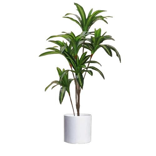 Artificial Dracaena Plant Tp-07 - Color: Green