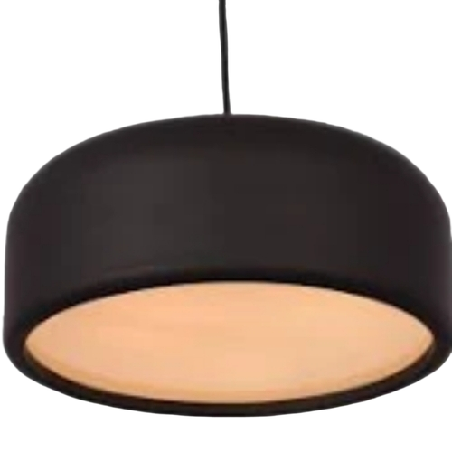 Artistic Pendant Light