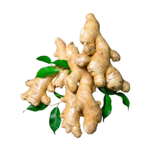 Fresh Brown Ginger