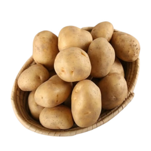 Fresh Potato
