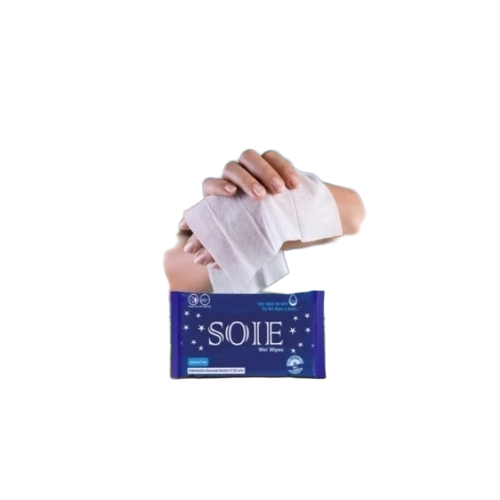 Cleaning Wet Wipes - Application: Personal