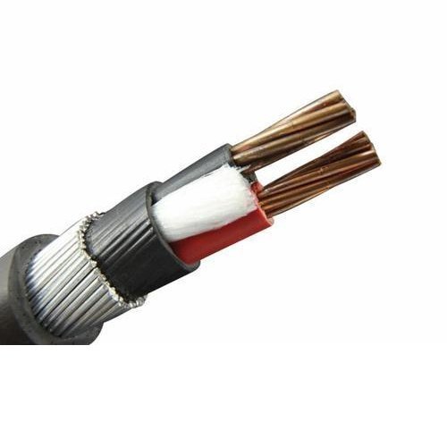 2 Core Armoured Cable