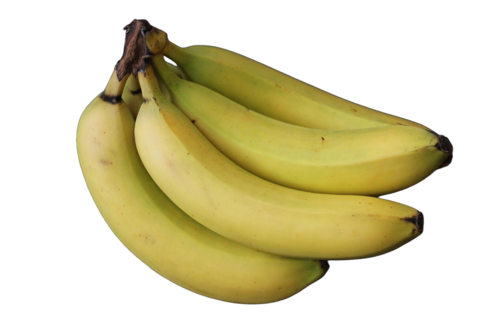G9 Cavendish Banana
