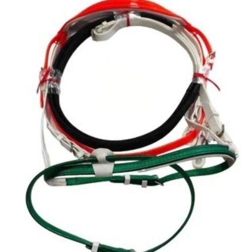 Horse Bridle
