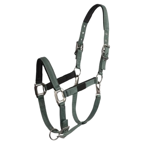 Horse Halter