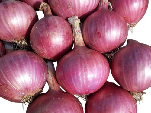 Red Onion