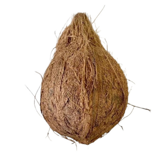 Semi Husked Coconut