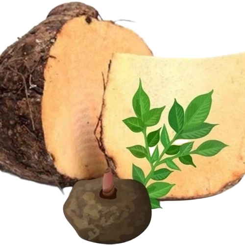 Fresh Elephant Yam Suran