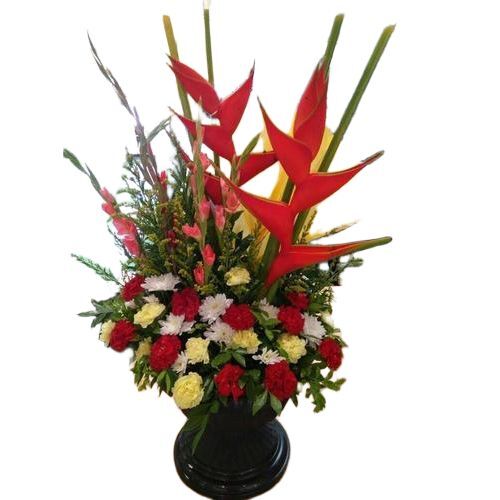 Fresh Flower - Color: Red