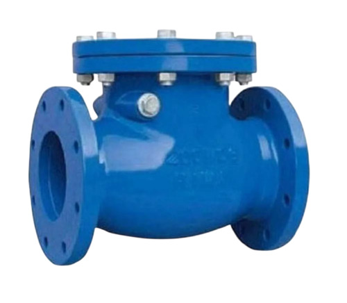 Ci Non Return Valve