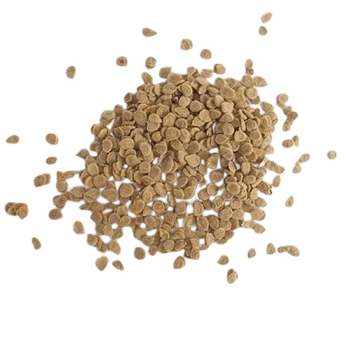 Tomato Seed