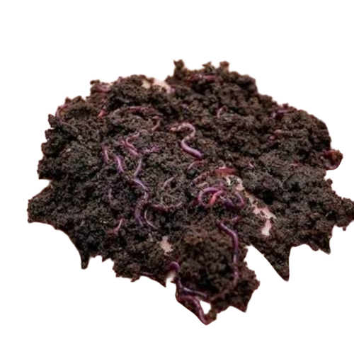 Vermicompost Fertilizer
