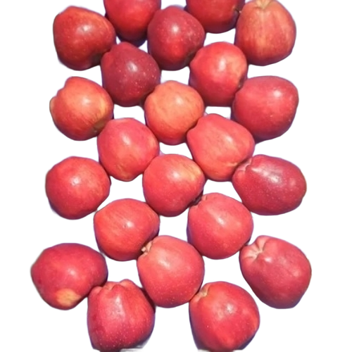 A Grade Turkey Apple