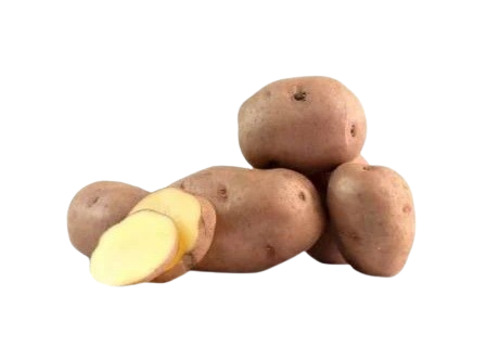 Lady Rosetta Potato