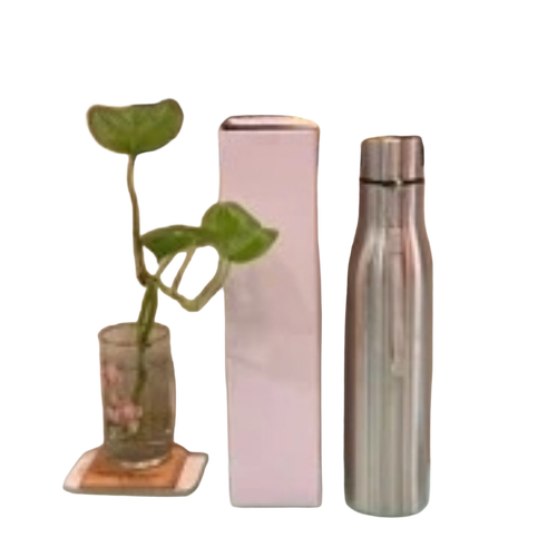 Stainless Steel Water Bottle