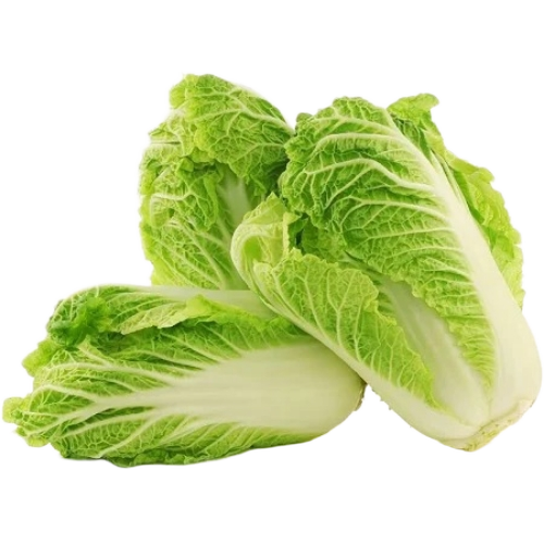 Cabbage 