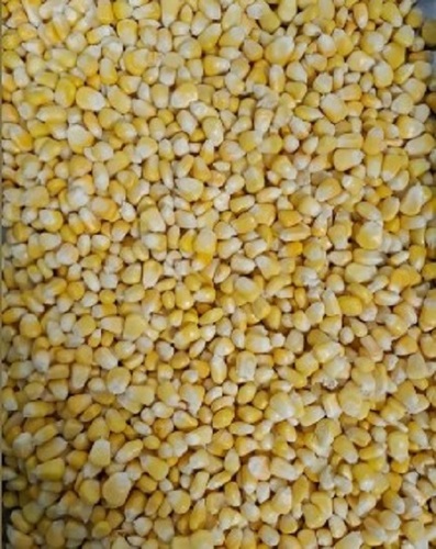Sweet Corn